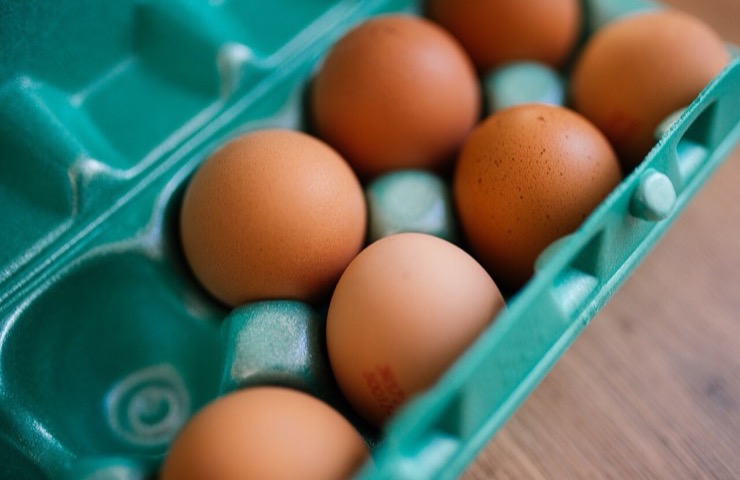 Protein First, Every Week